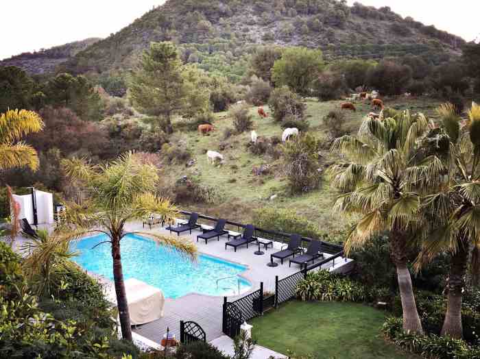 Wellness and Spa Retreats in Europe