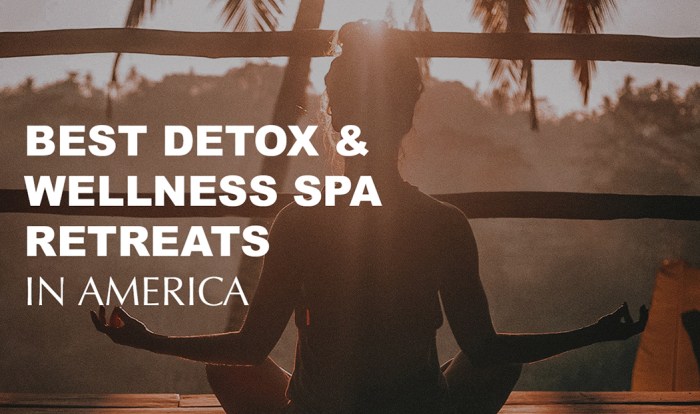 Best Wellness and Spa Retreats 2024